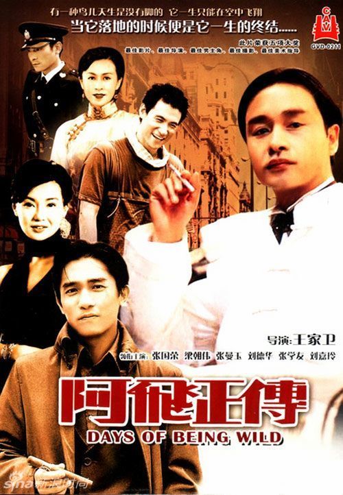 美国DiplomainFinance